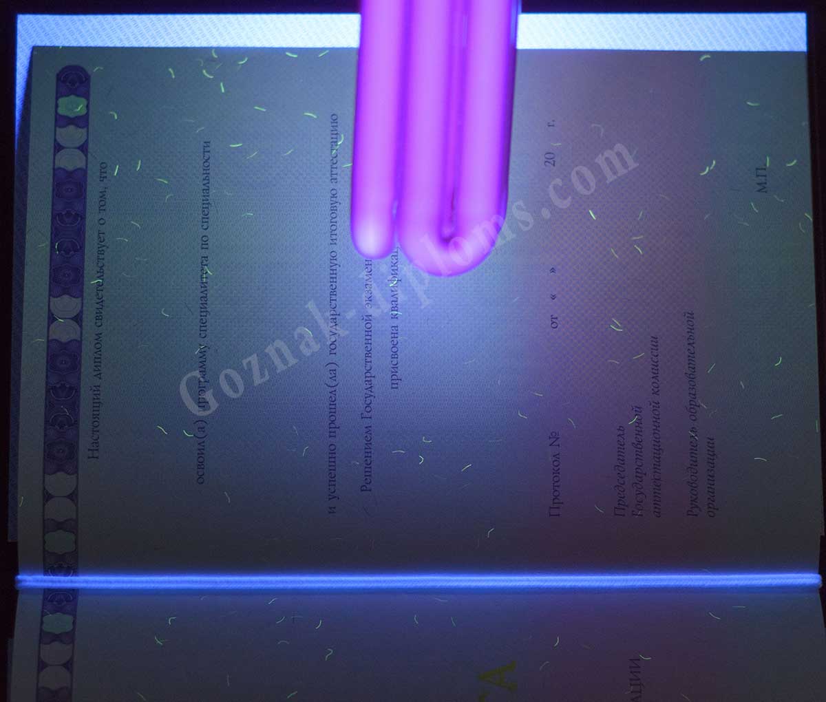 Диплом специалиста с ОТЛИЧИЕМ 2014-2026